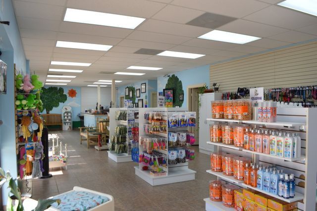 Angel's Pet Hospital