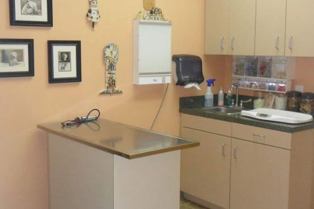 Angel's Pet Hospital