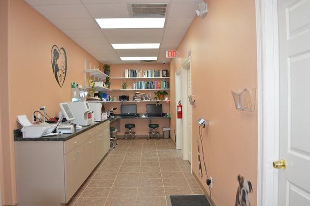 Angel's Pet Hospital