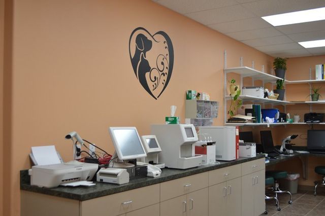 Angel's Pet Hospital