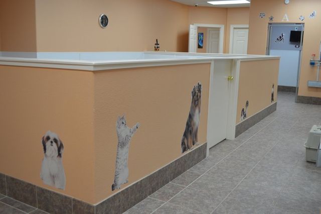 Angel's Pet Hospital