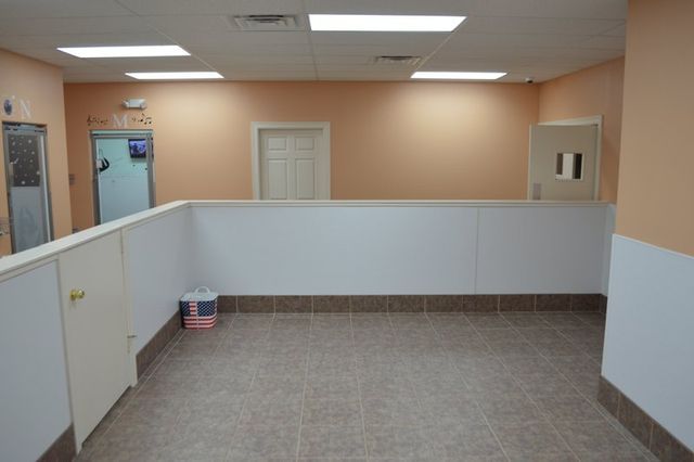 Angel's Pet Hospital