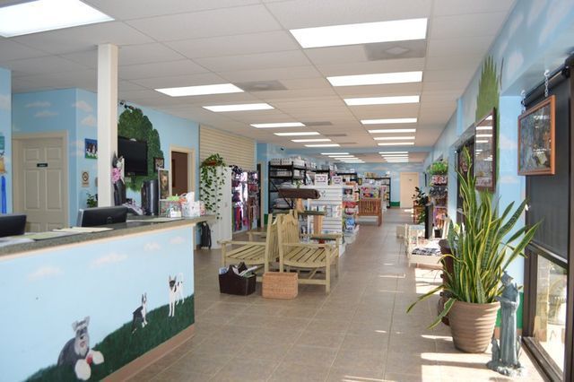 Angel's Pet Hospital