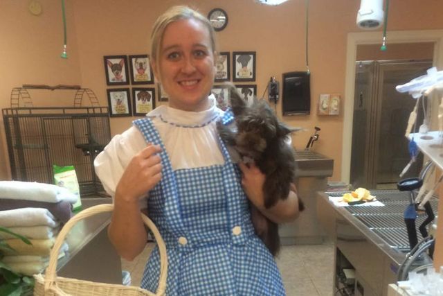 Angel's Pet Hospital