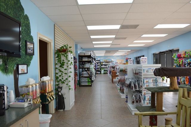 Angel's Pet Hospital