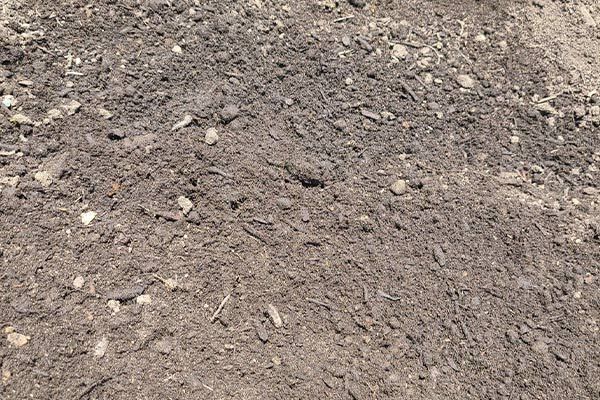 A close up of a pile of dirt on the ground.