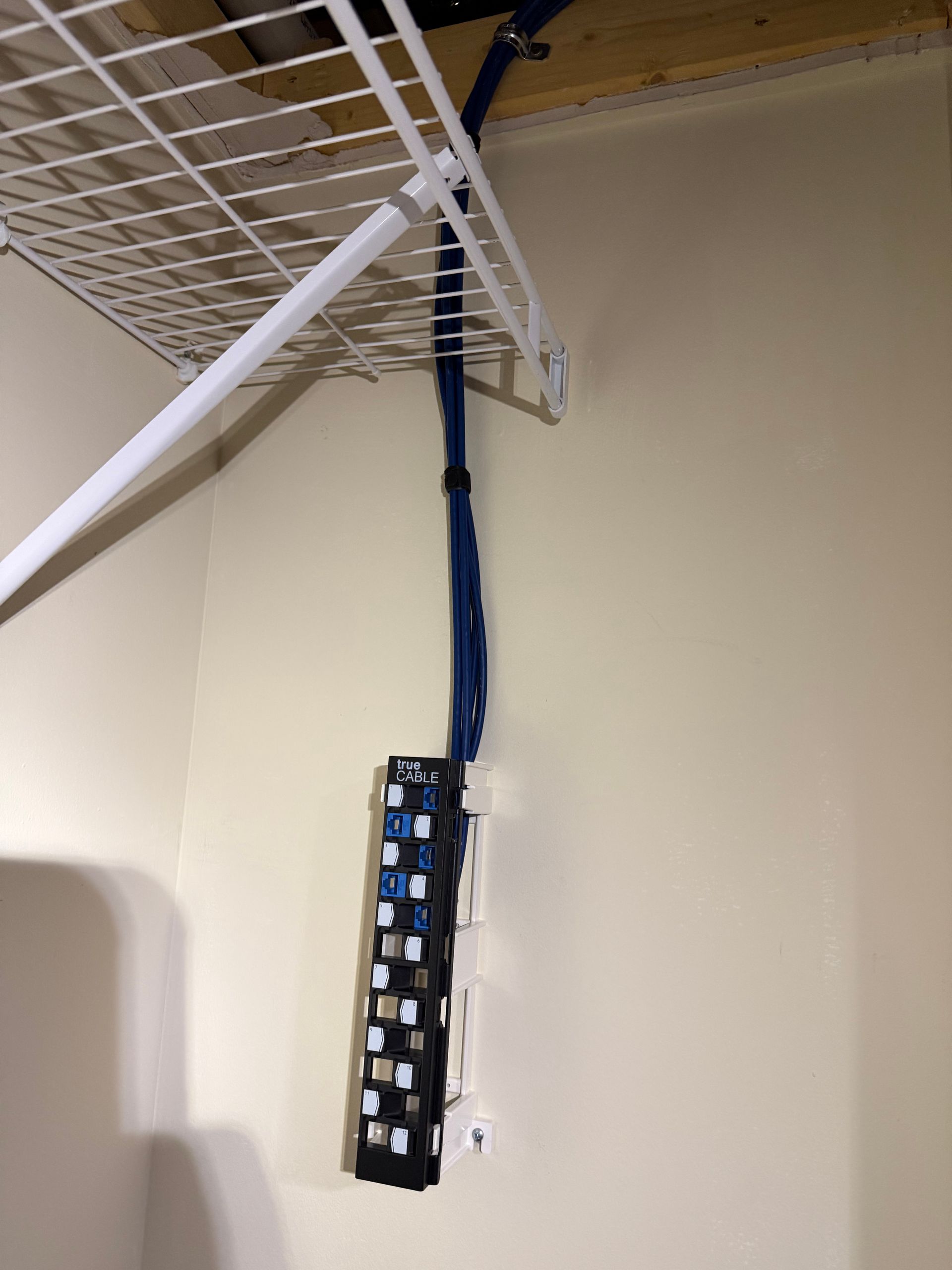 A network patch panel mounted to a wall in a closet, with blue ethernet cables running upward into the ceiling.
