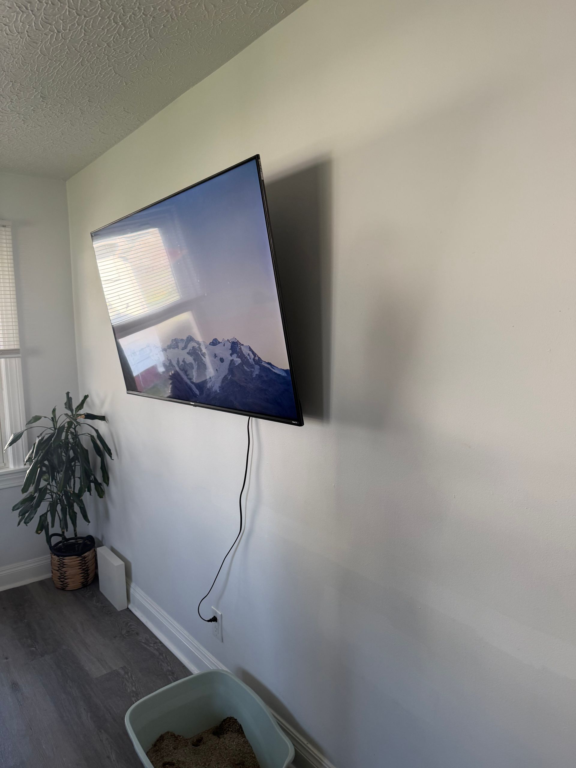 A flat-screen TV is mounted on a light-colored wall with visible power cables hanging down near a potted plant and bin.