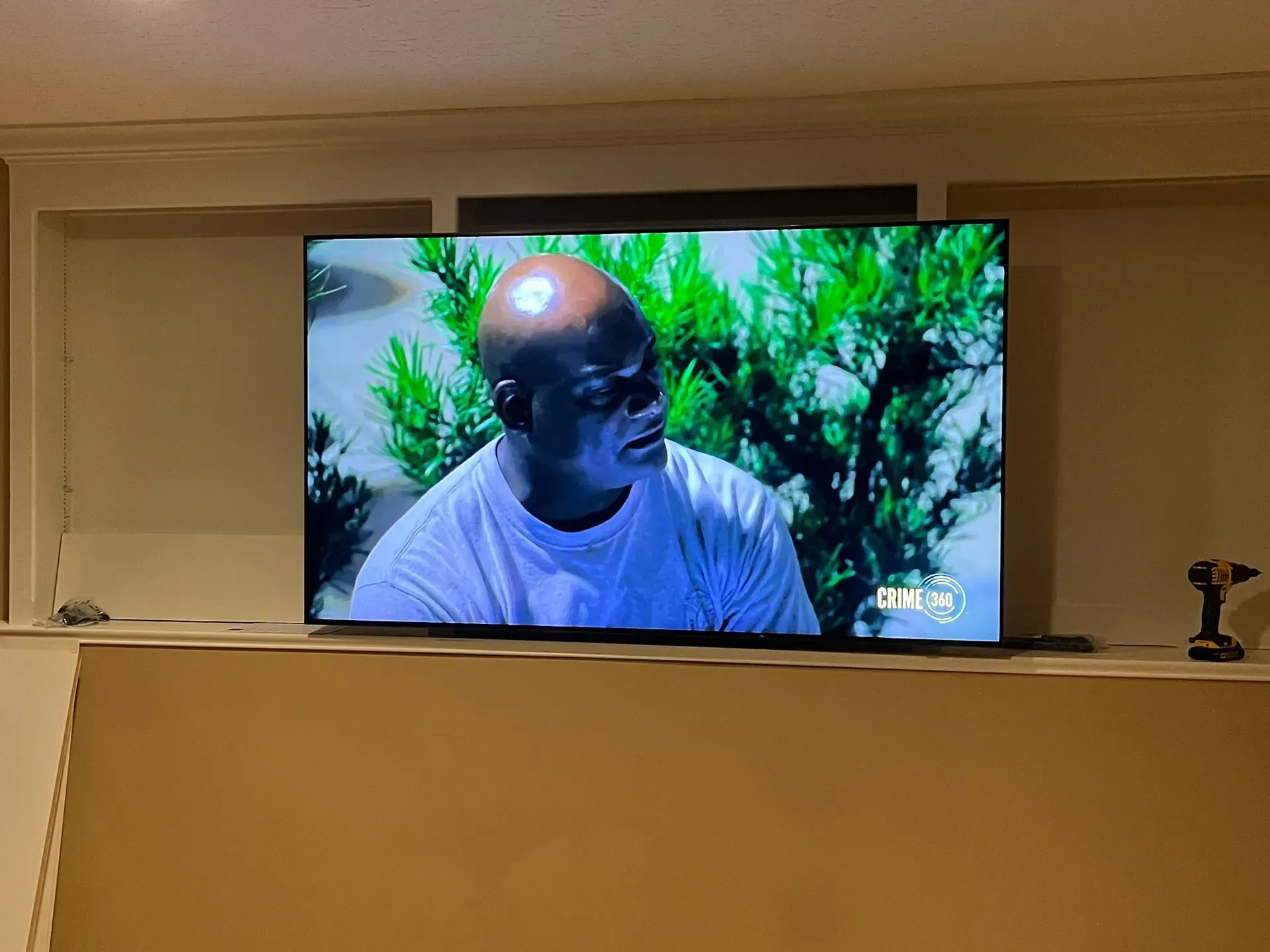 A mounted television screen displays a close-up of a person against a background of green foliage.