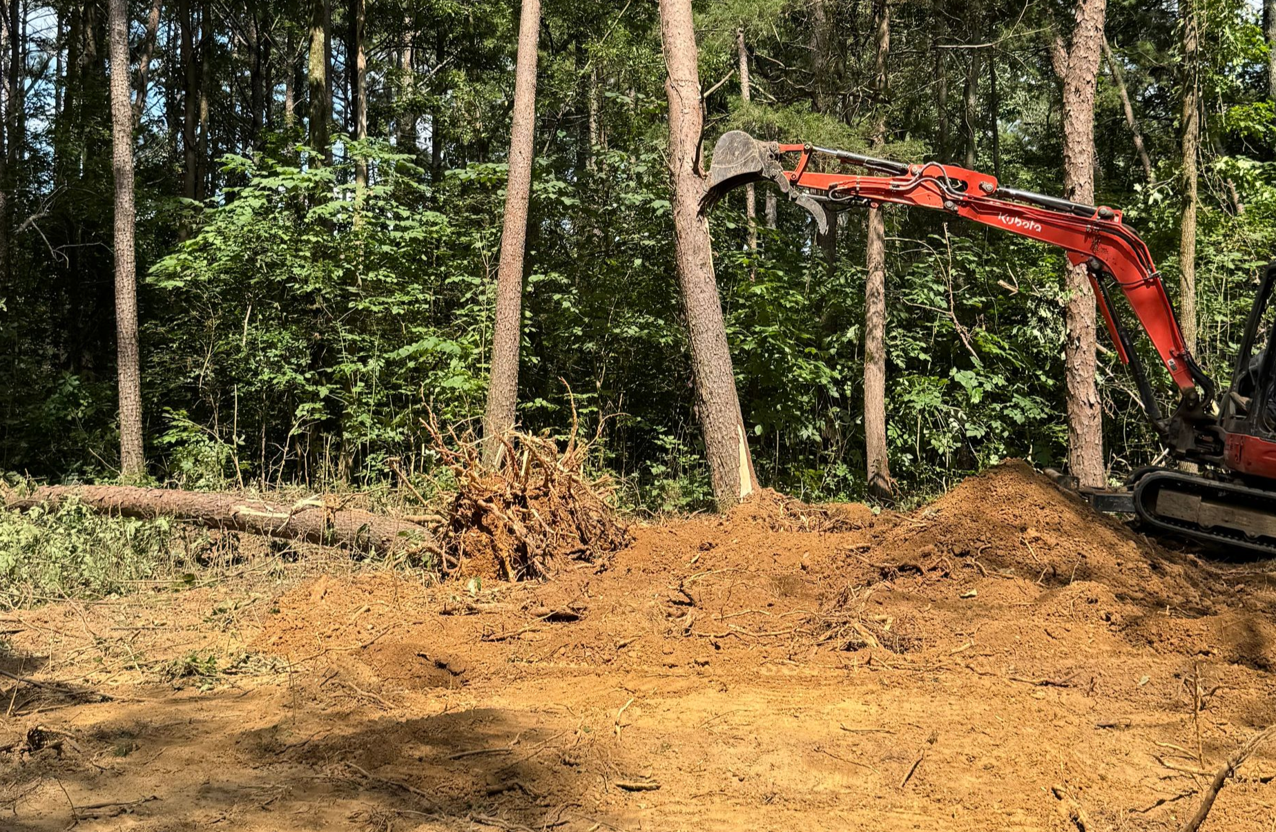 A red excavator uses a mechanical thumb to grip a tree trunk in a forested clearing.