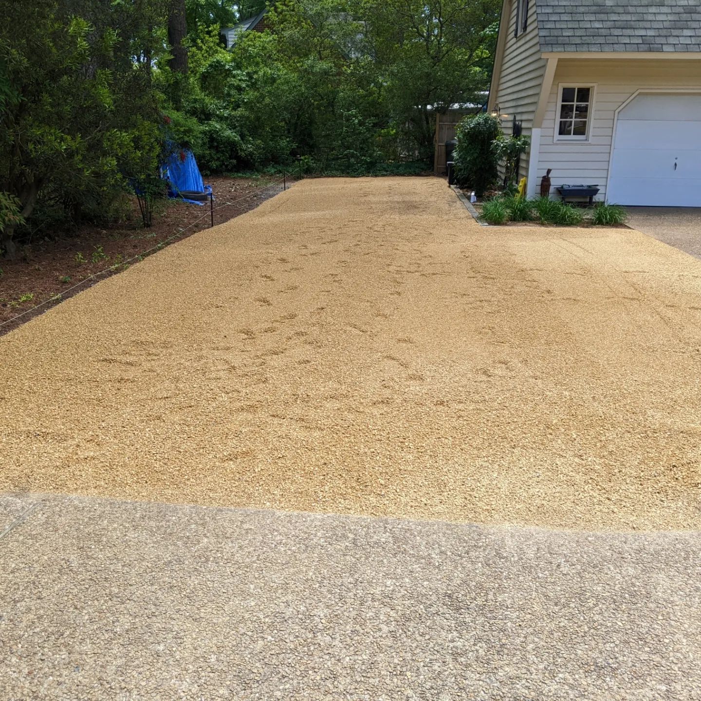 Gravel driveway leading to a garage, bordered by trees and a blue tarp on the left.