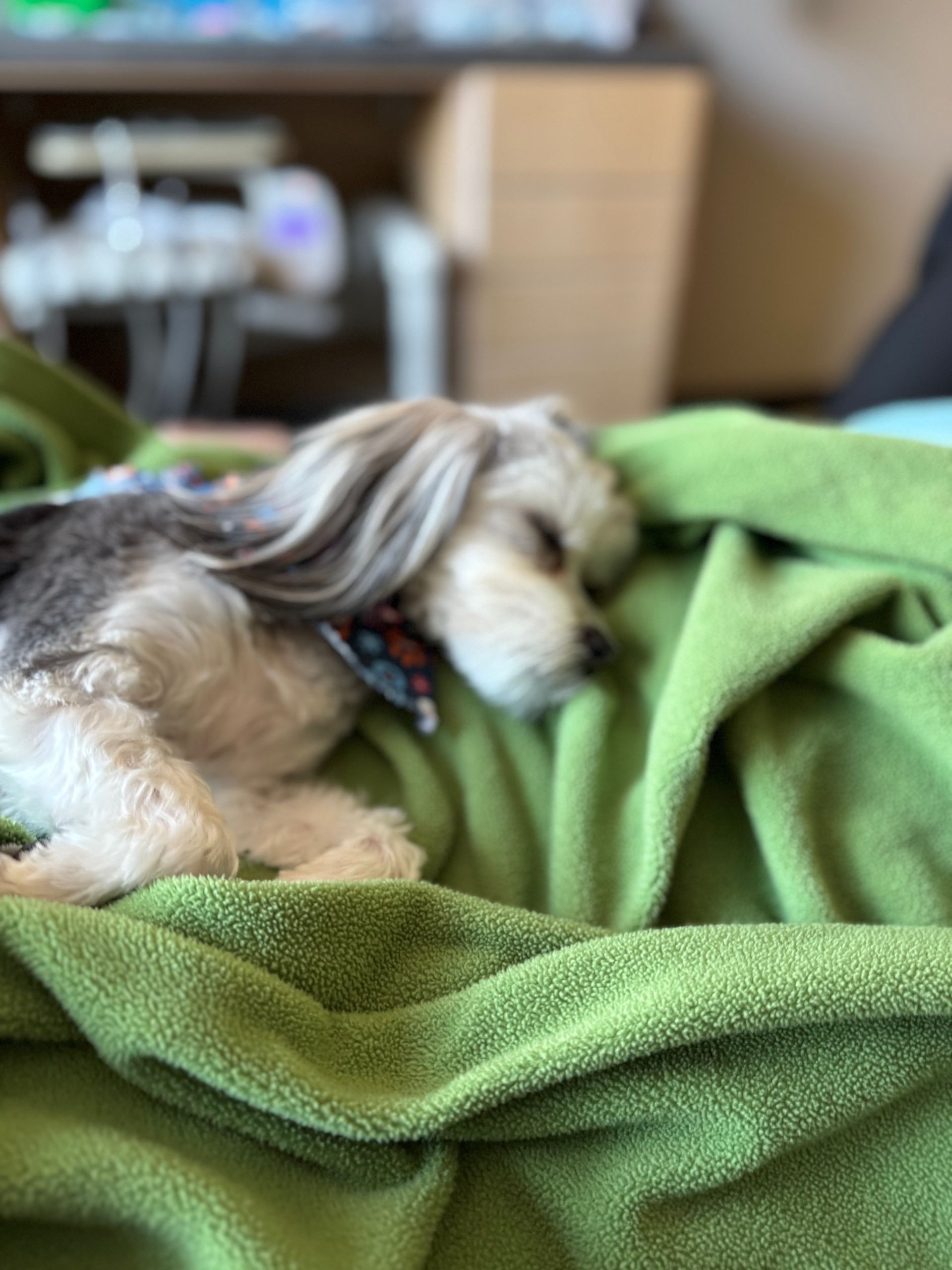 A dentist is examining a patient 's teeth in a dental office