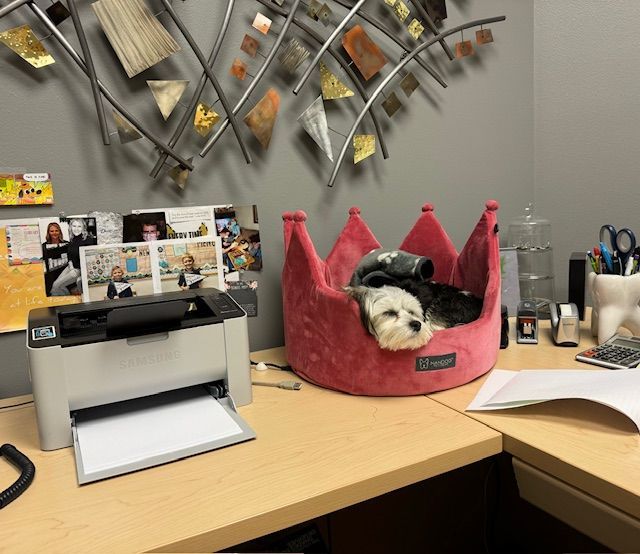 A dog is laying in a pink crown bed next to a printer