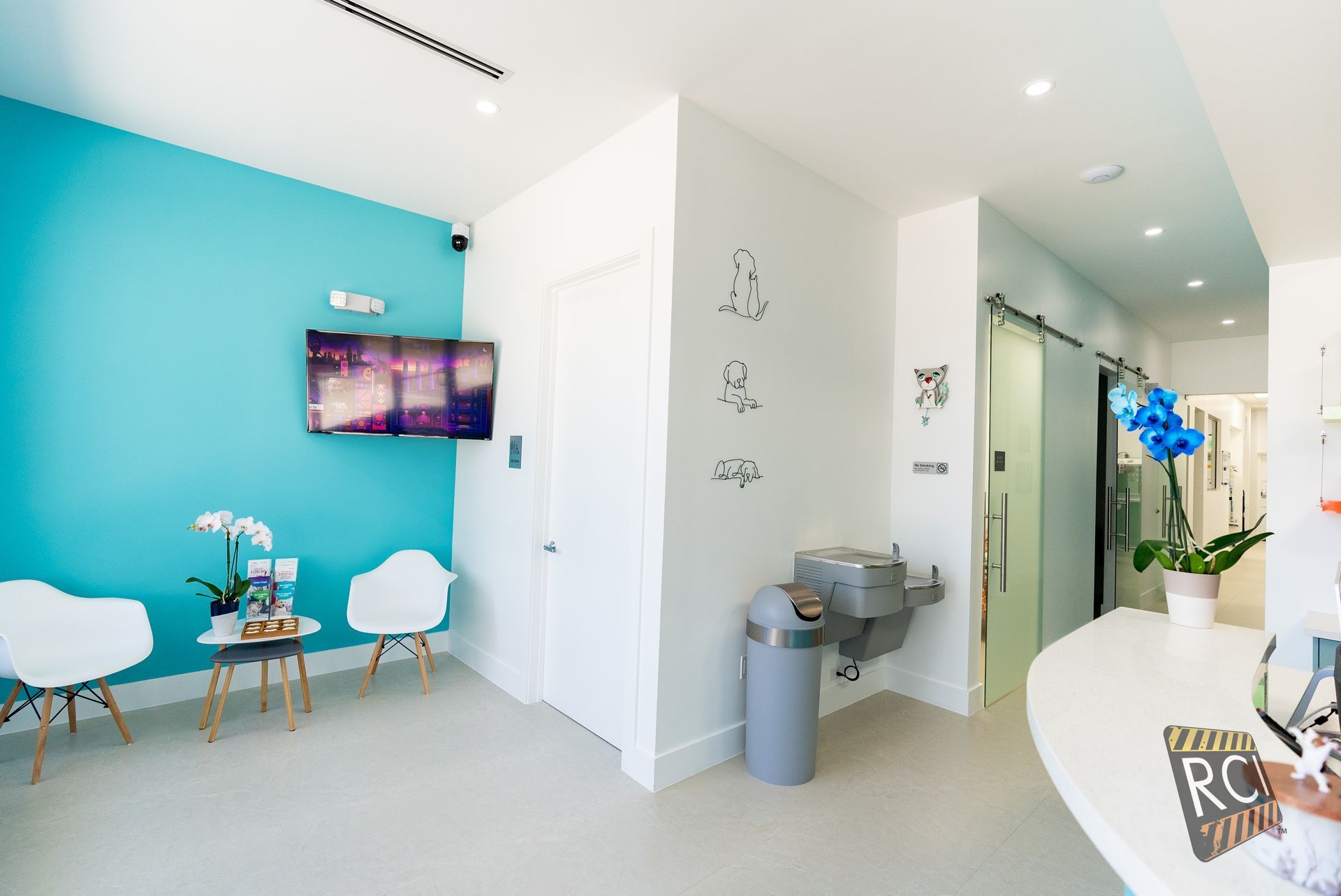 A dental office with a blue wall and white chairs