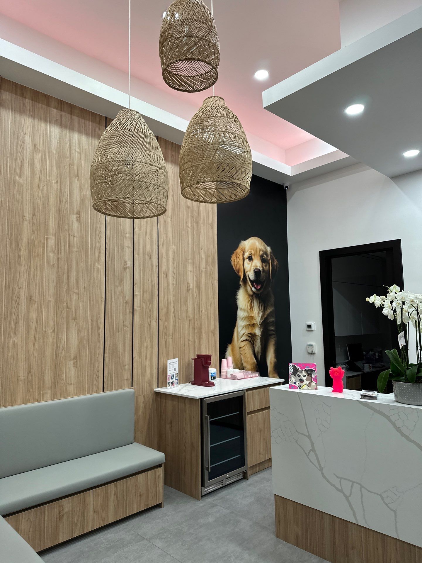 A dental office with a dental chair and a computer.