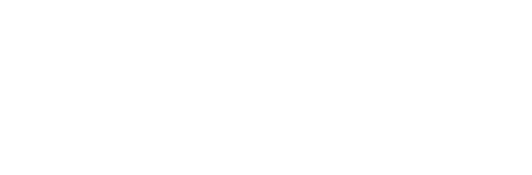 Absolute Pest Control - Logo