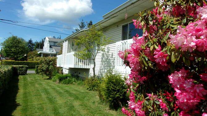 White house with flowering pink rhododendron in the front yard on a sunny day.