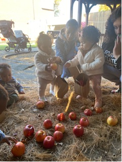 A group of children are playing with apples on the ground