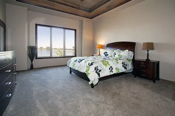Spacious bedroom with a large bed, gray carpet, window view, and dark wood nightstands