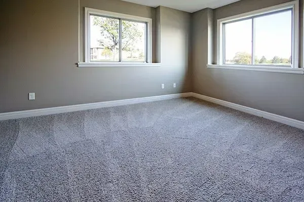 Empty carpeted room with gray walls and large windows overlooking the outdoors