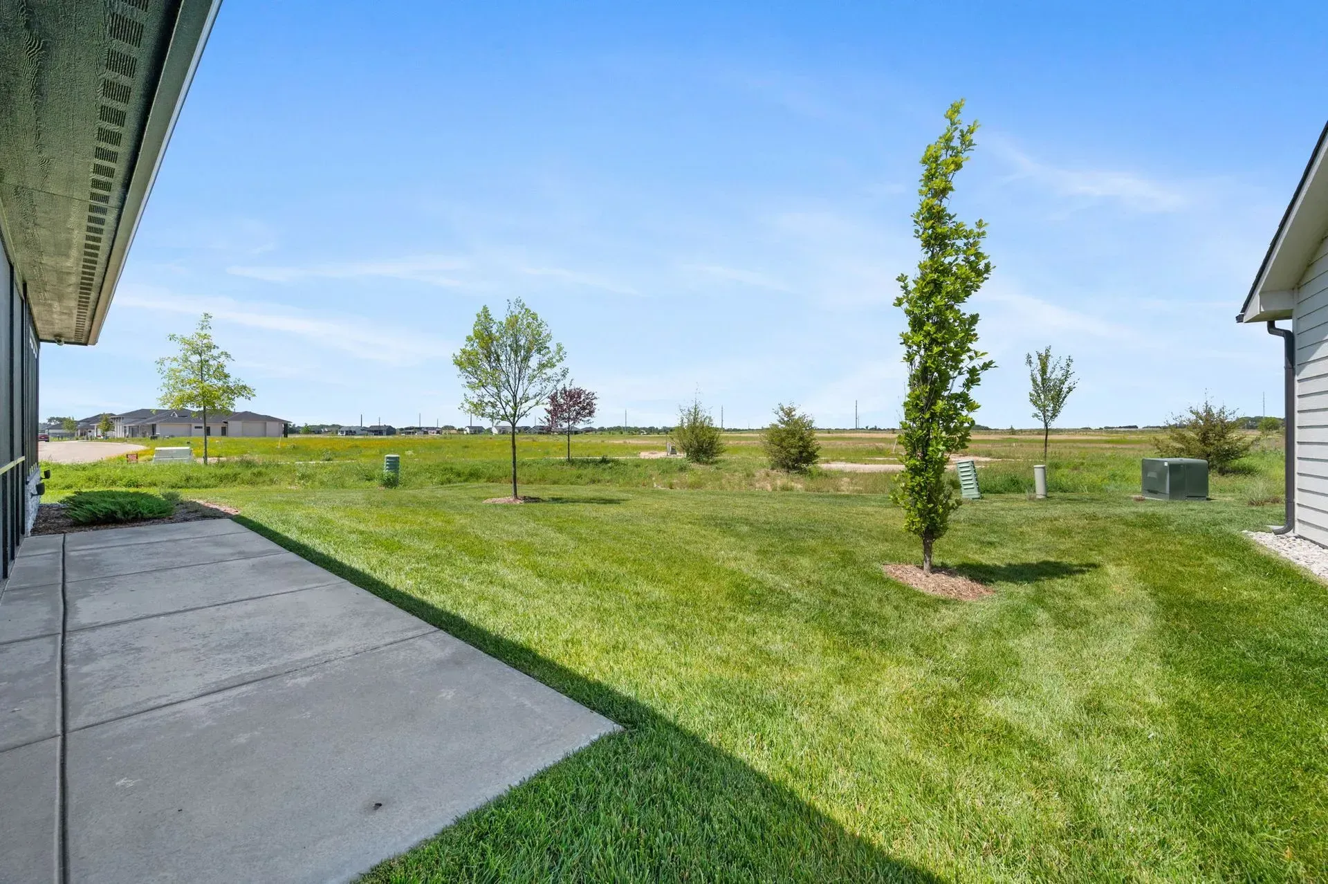 Backyard with green lawn, young trees, concrete patio, and blue sky beside a house