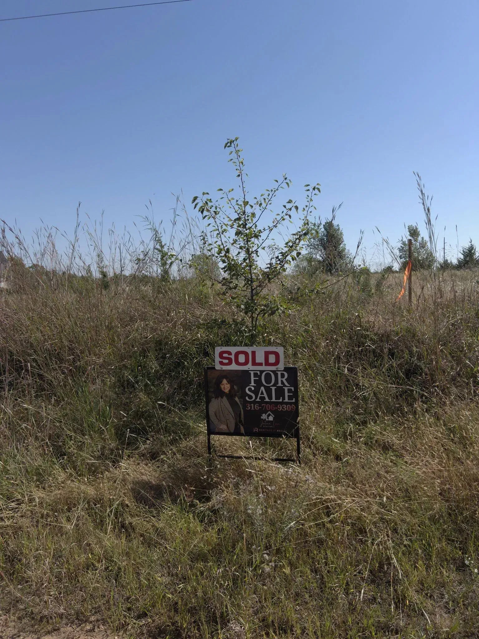 For-sale sign in overgrown field, marked “SOLD,” with dry brush under a blue sky.