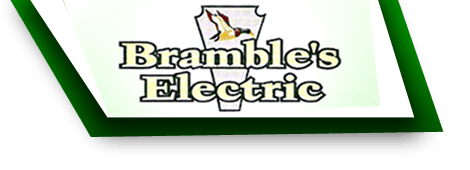 Bramble's Electric Logo
