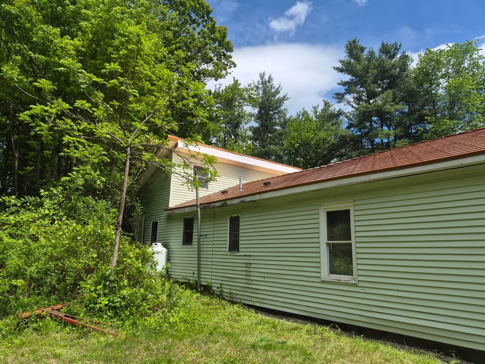 Green-sided house with red roof beside dense trees under a blue sky