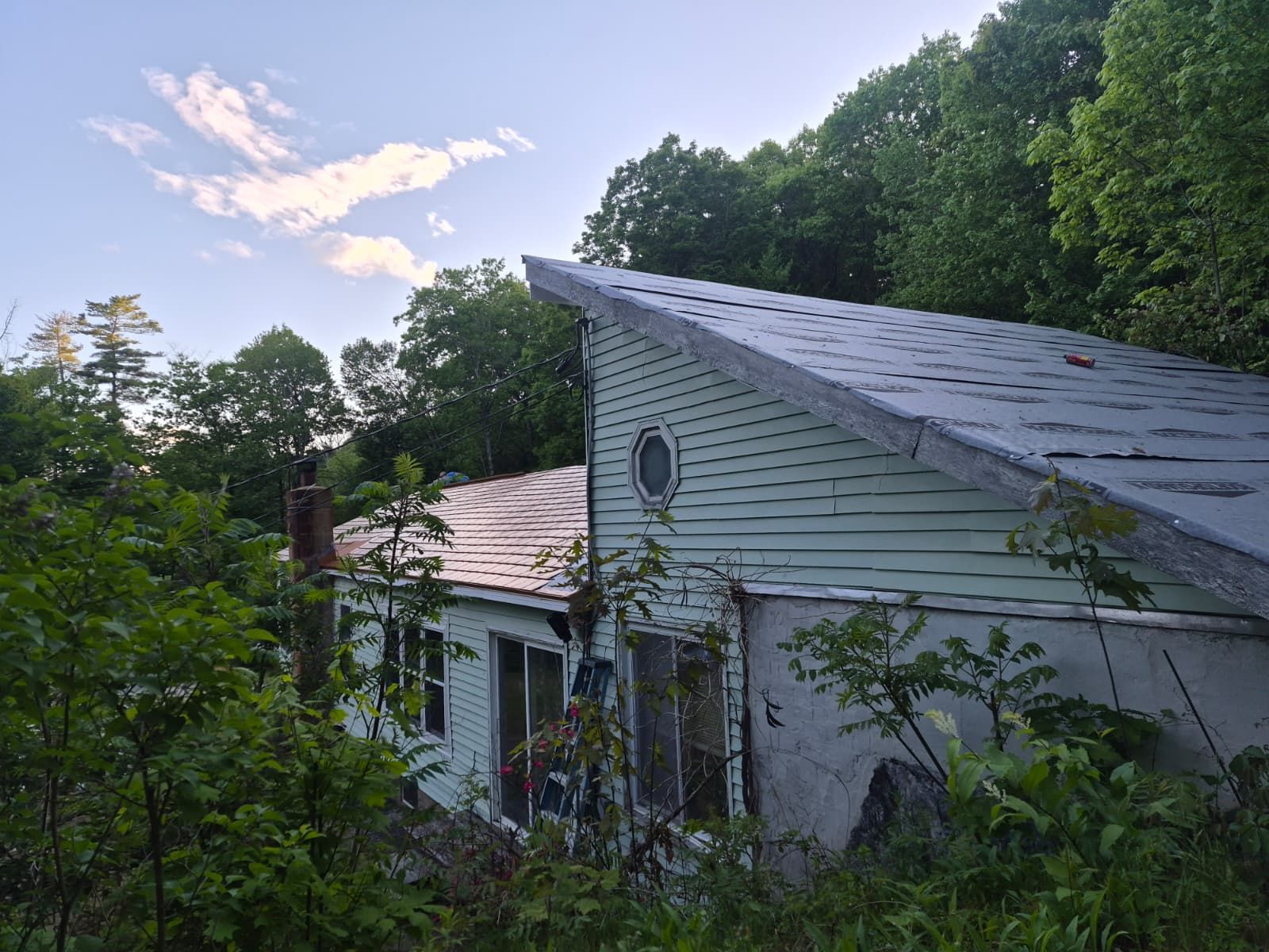 White house with a sloped roof nestled in dense green trees at dusk