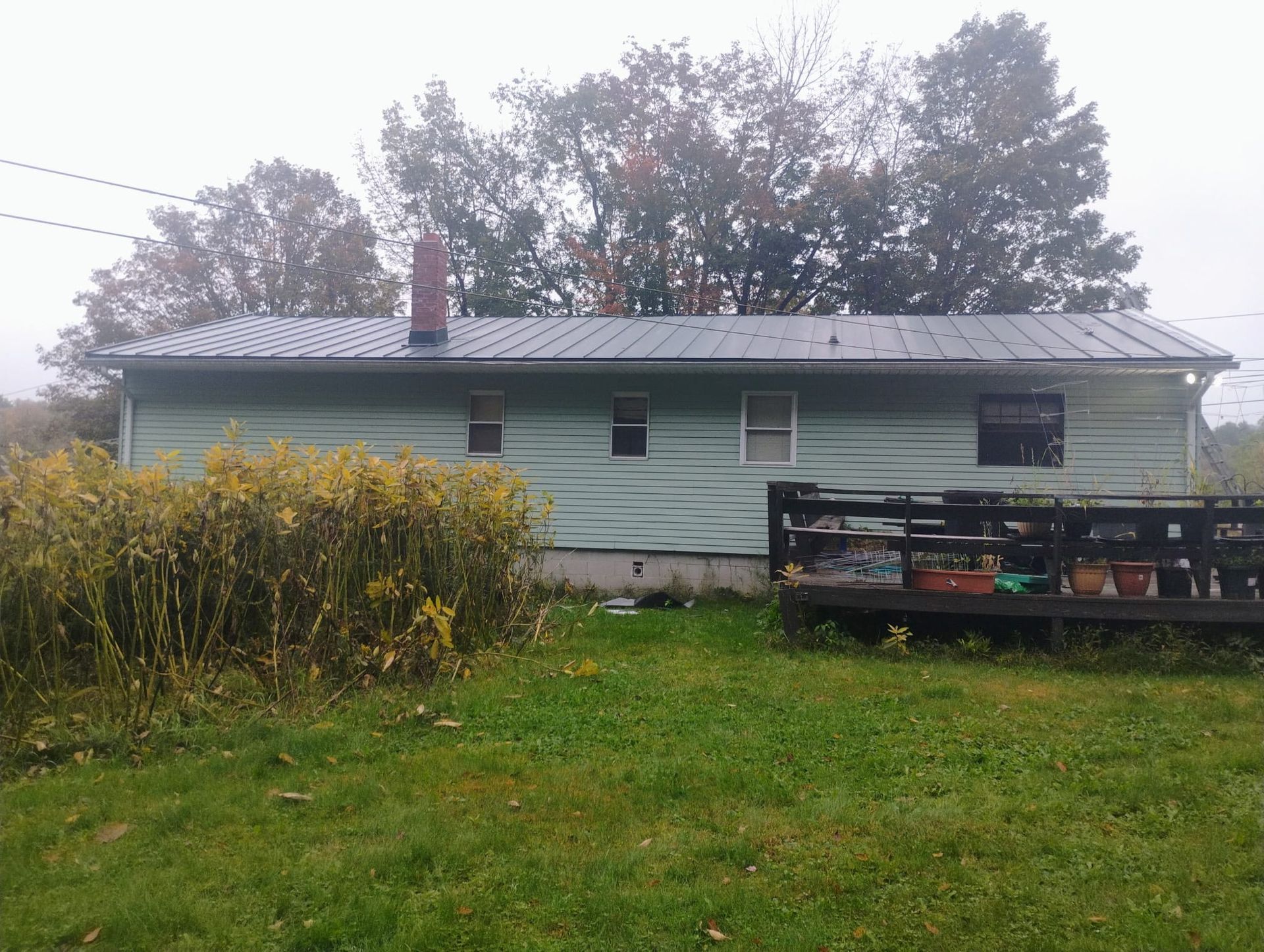Small light-green house with a front porch, overgrown yard, and trees in the background.