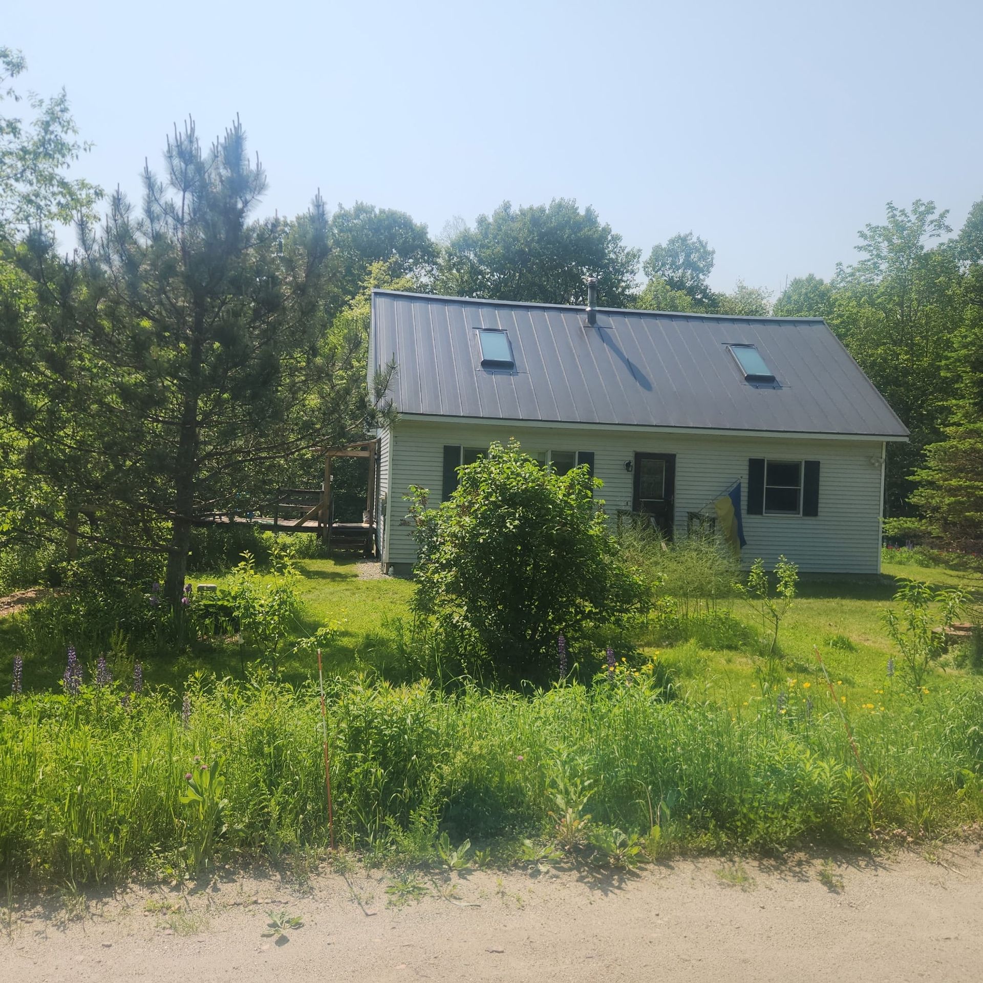 Small white house with a metal roof surrounded by lush green trees and grass under a bright blue sky.