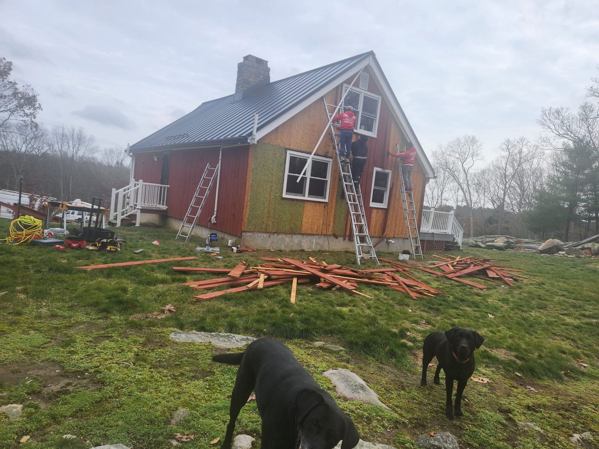Damaged red house with ladder and debris outside, two black dogs in the foreground