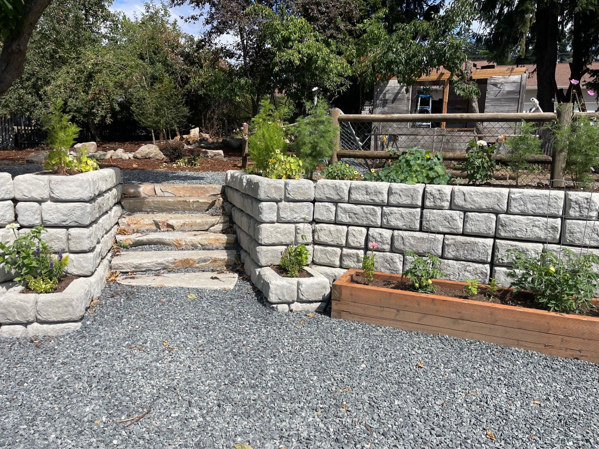 Stone retaining walls with steps leading up, gravel ground, plants and a wooden fence.