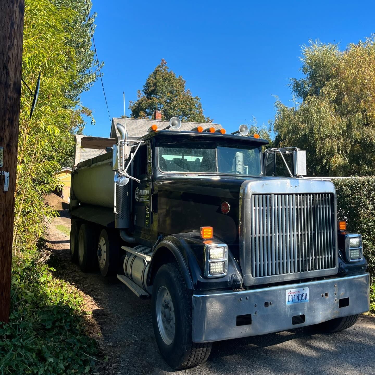 Black dump truck on a driveway, with a blue sky and green foliage in the background.