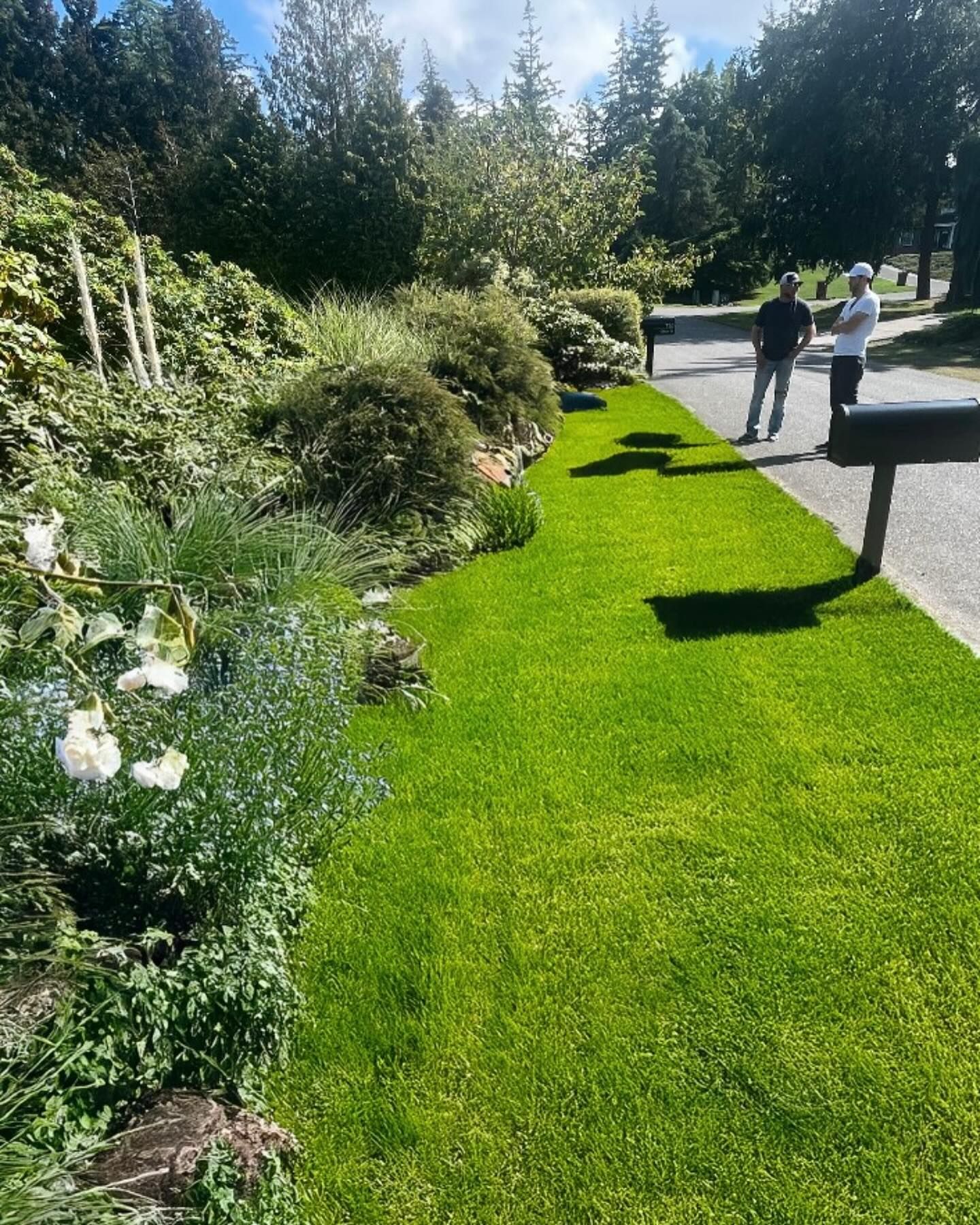 Lush green lawn with manicured garden bed. Two people stand near a sidewalk. Bright sunlight.