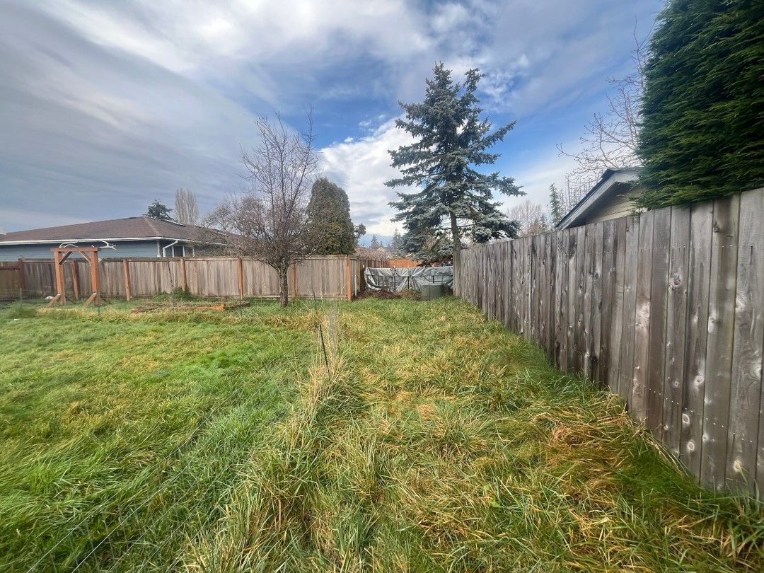 Overgrown backyard with wooden fences, green grass, and cloudy sky.