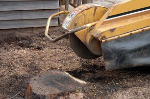 Learn more about stump removal Stump grinding