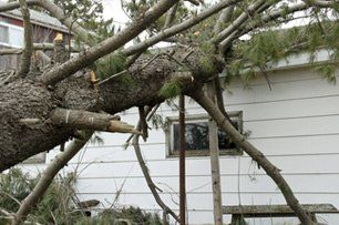 Learn more about storm damage Storm damage