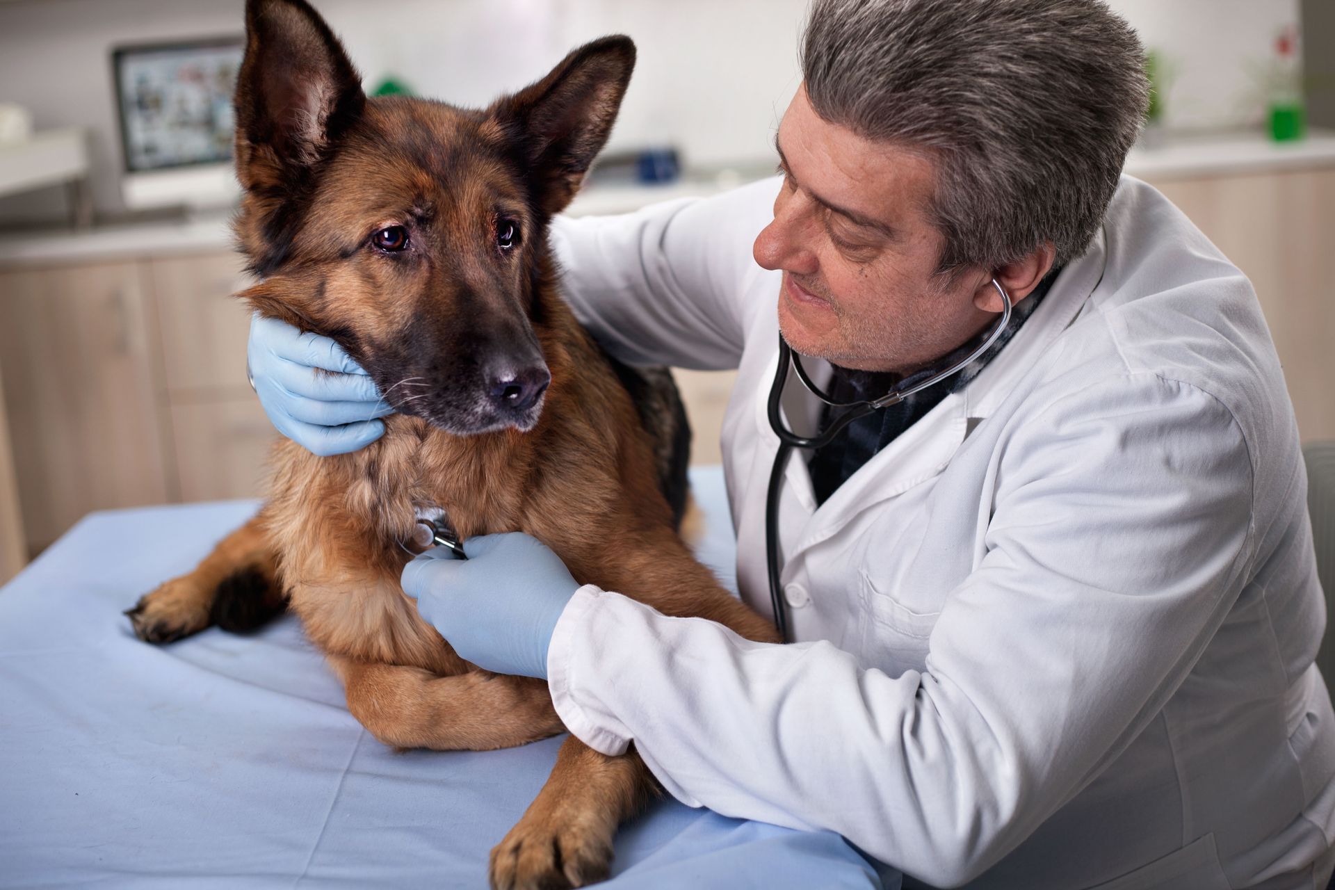 veterinarians