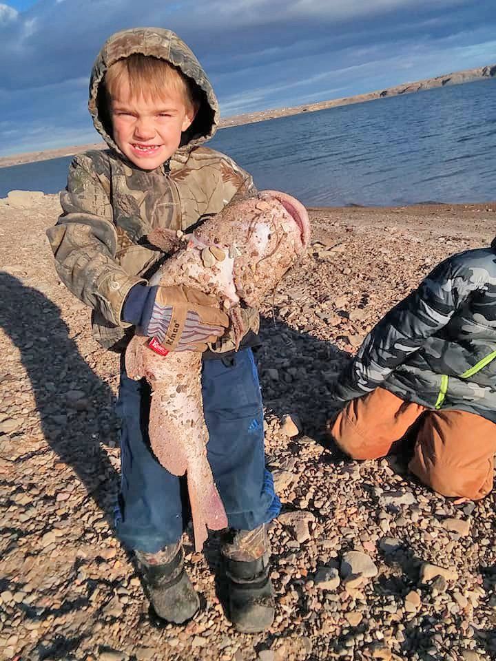 Boy holding a fish