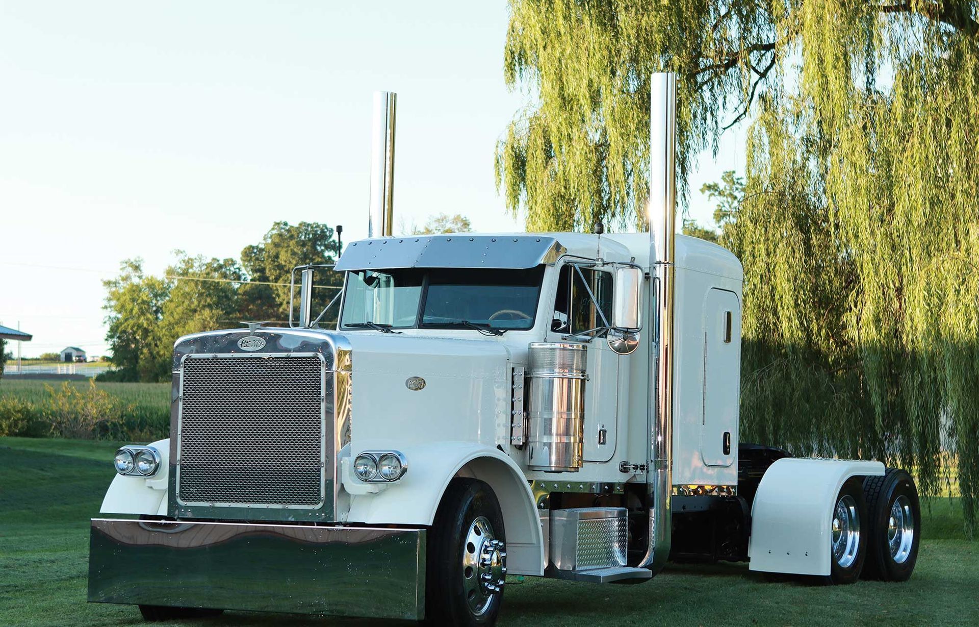 A white semi truck is parked in a grassy field