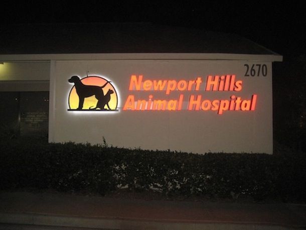 The newport hills animal hospital is lit up at night