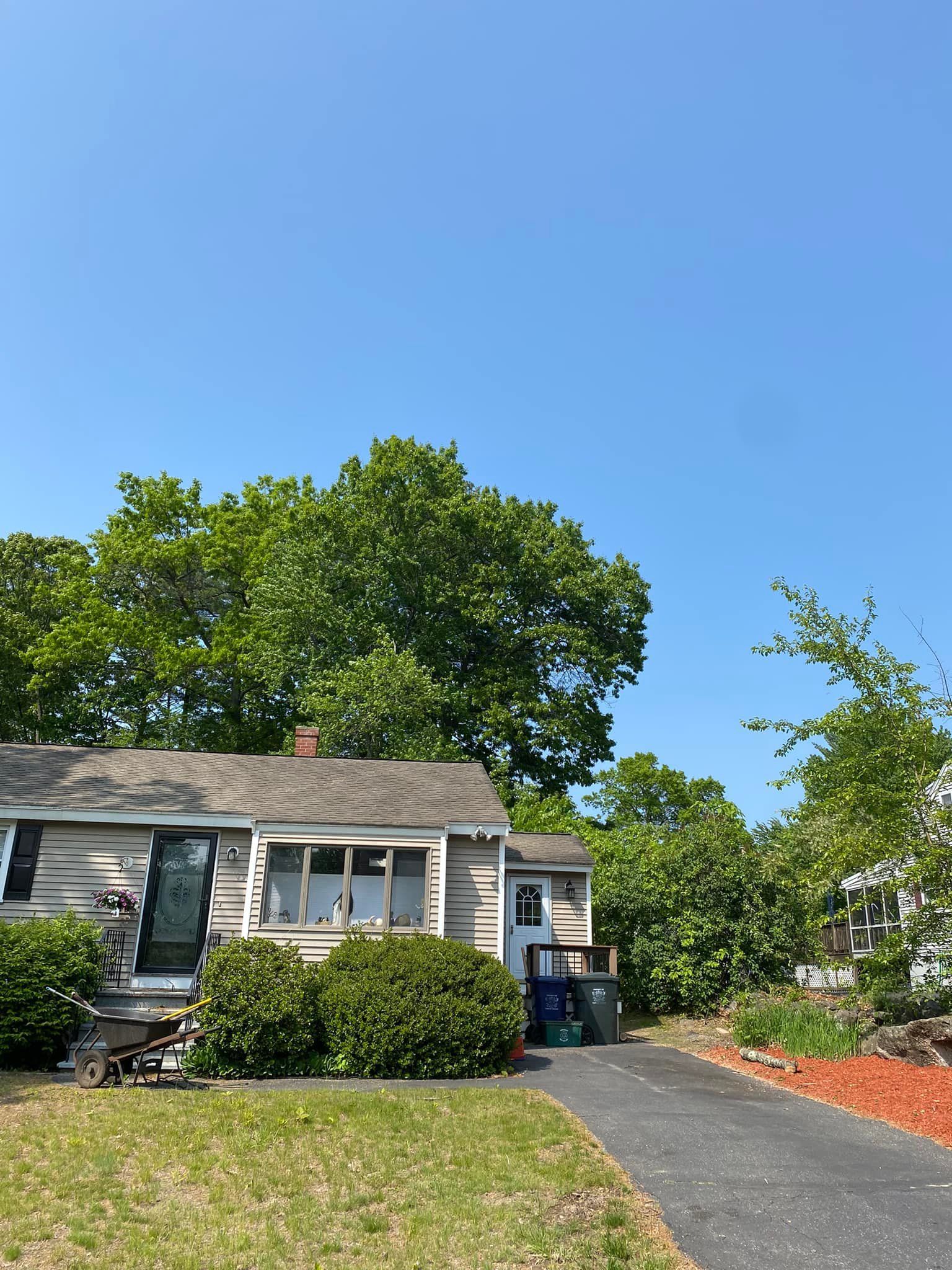 A small, weathered house with a dark driveway, surrounded by green bushes and trees under a bright blue sky.