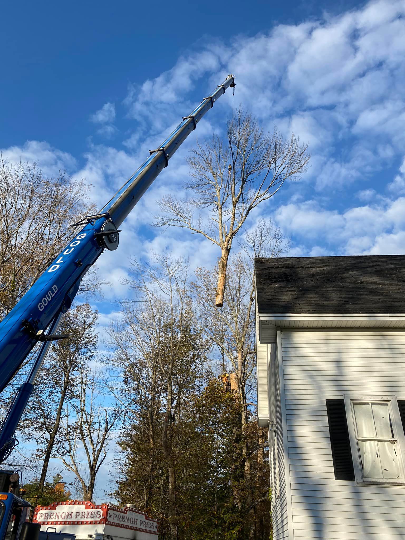 A blue crane lifting a tree trunk near a white house on a sunny day.