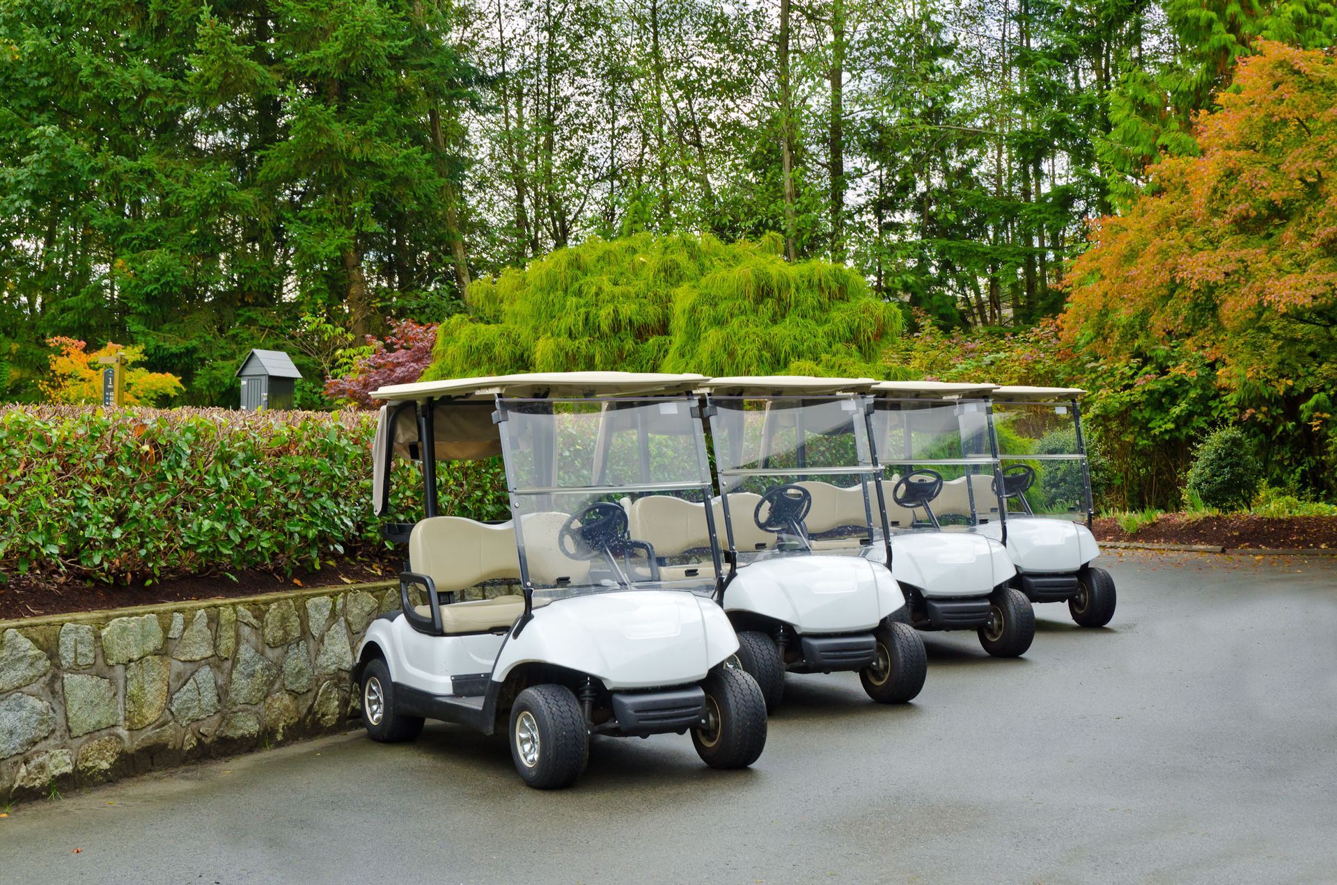 local golf cart sales
