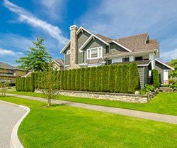 Vibrant Lawns