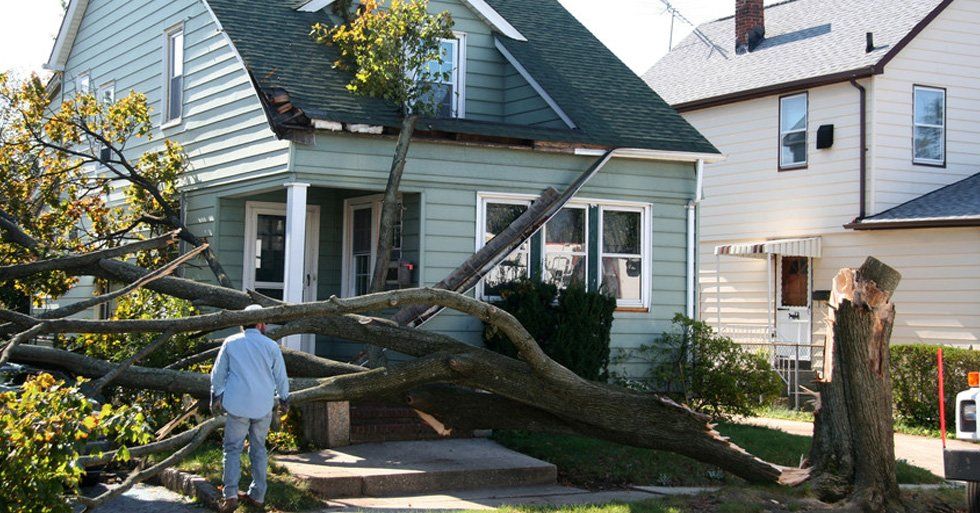 Storm cleanup services