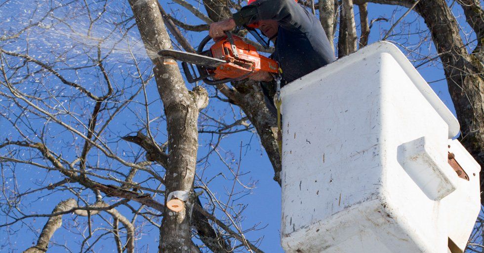 Bucket truck service