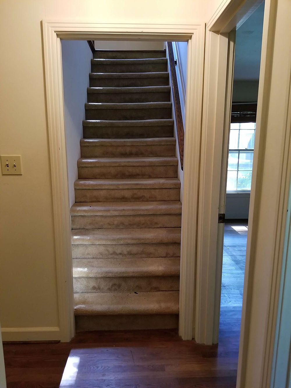 Stairs (Before) - Staircase with worn carpet framed by white door and molding; doorway to room on right.