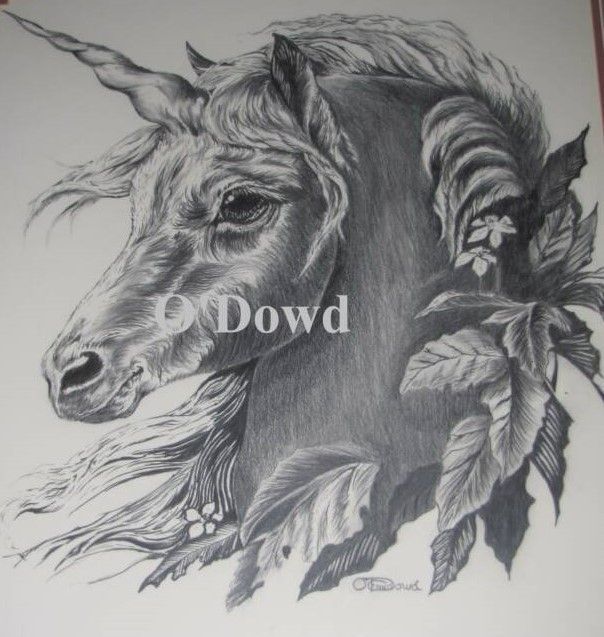 Drawings and Sketches